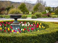 Front Garden - Peppers Craigieburn